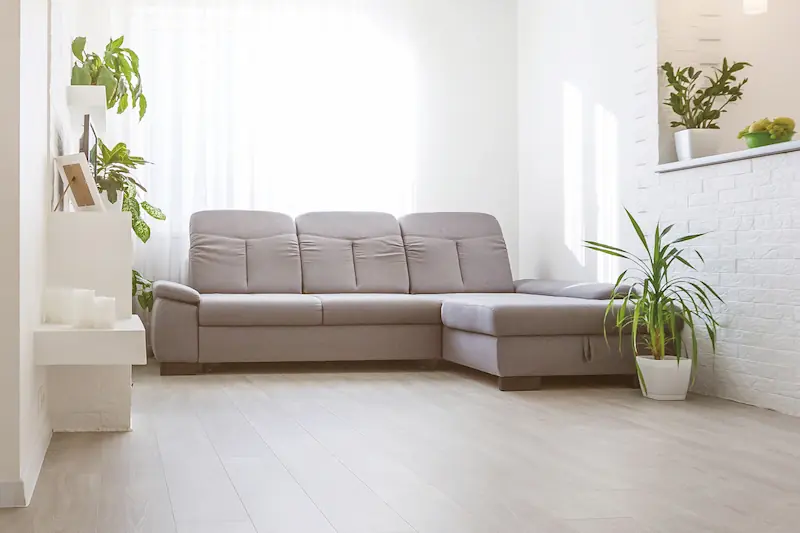 グレーのコーナーソファと観葉植物が配置された明るいリビング。白い壁と大きな窓から差し込む自然光が、清潔感のある室内空間を演出
